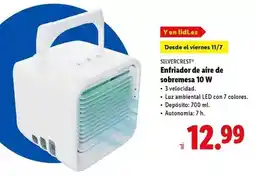 Gadis Victoria - cerveza málaga oferta
