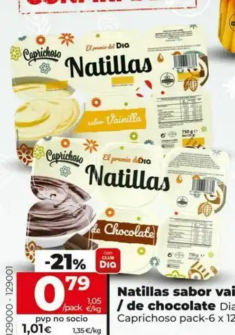 Dia Natillas de vainilla/ de chocolate dia oferta