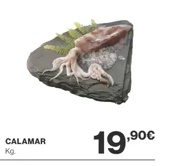 Supercor Calamar oferta