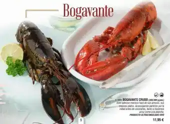 Abordo Bogavante oferta