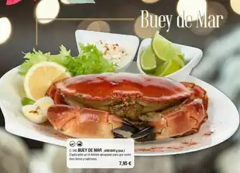Abordo Buey de mar oferta