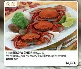 Abordo Nécoras el buey oferta