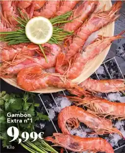 FROIZ Cepillo erma lava coches oferta