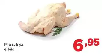 Supermercados Lupa Magnum - de frigo oferta