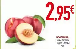 Alimerka Pato - limpiainodoros azul o verde oferta