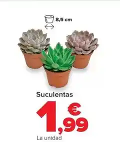 Gadis Filetes de cerdo oferta