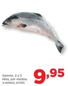 Álvaro Moreno Jersey oferta