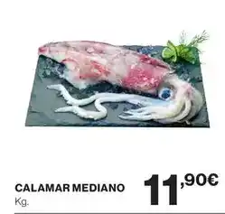 CashDiplo Pato - foie gras de oferta