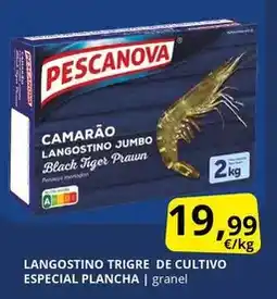 Action Árbol de navidad oferta