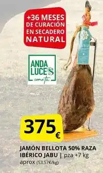 Action Haribo - winter mix oferta