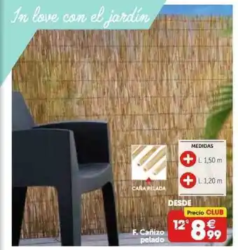 GiFi Cañizo Pelado oferta