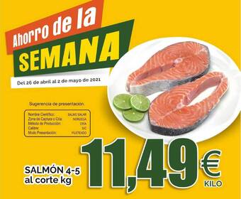 FROIZ Salmón 4-5 Al Corte kg oferta
