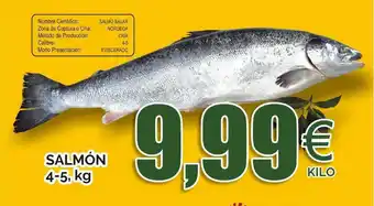 FROIZ Salmón 4-5 kg oferta