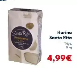 Lidl Mango oferta