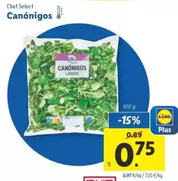 Lidl Chef select - canónigos oferta