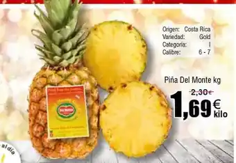 FROIZ Origen - piña del monte oferta