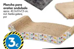 TEDi TEDI Plancha para arañar ondulada oferta