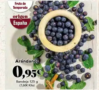 Gadis Arándanos 125g oferta