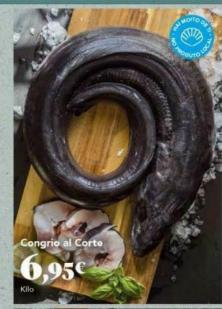 Gadis Congrio oferta