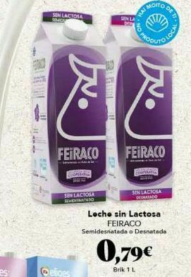 Gadis Leche sin lactosa feiraco oferta