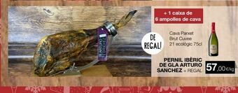 Plusfresc Cava oferta