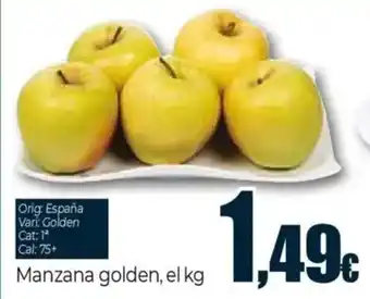 Unide Supermercados Manzana golden oferta