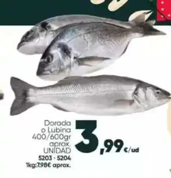 Family Cash Dorada o Lubina oferta