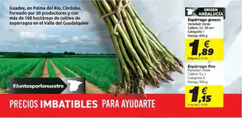 Carrefour Espárrago Grueso 12-16mm 400g y Espárrago Fino 300g oferta