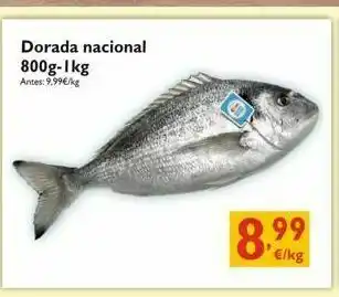 Dorada dorada
