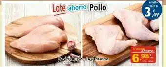 Pollo