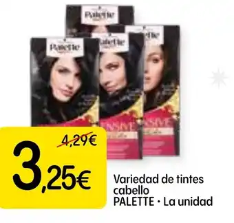 Dialprix PALETTE Variedad de tintes cabello oferta