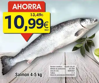 FROIZ Salmón oferta
