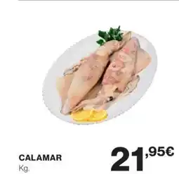 Calamar