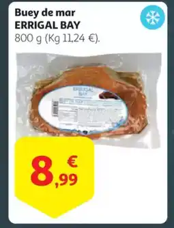 Alcampo ERRIGAL BAY Buey de mar oferta