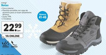 Lidl Botas livergy oferta