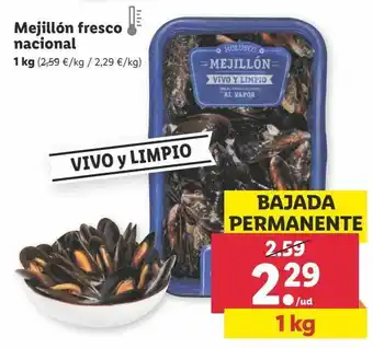 Lidl Mejillones 1kg oferta