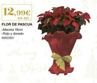 Costco Flor De Pascua oferta