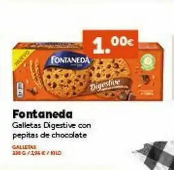 Hiperber Fontaneda Galletas Digestive Con Pepitas De Chocolate oferta