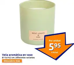 Action Vela aromática en vaso oferta