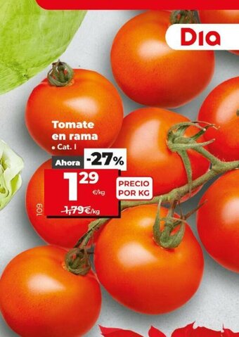 Dia Tomate en rama oferta