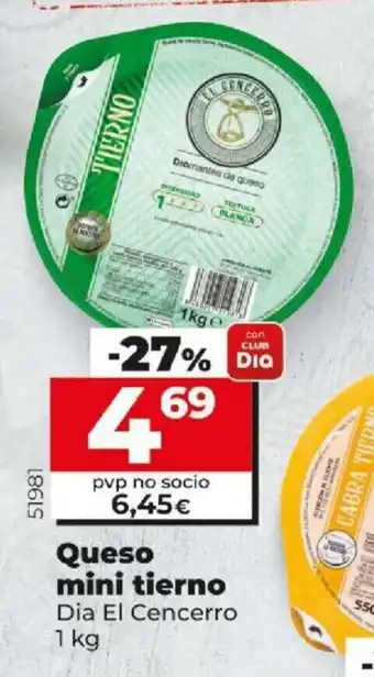 Dia Queso mini tierno 1kg oferta