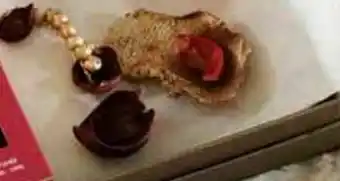 Popurri burdeos