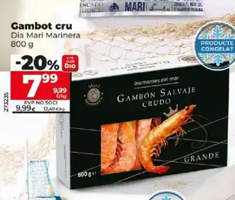 Dia Gambot cru oferta