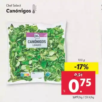 Lidl CHEF SELECT Canónigos oferta