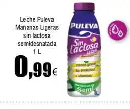 FROIZ Leche Puleva Mañanas Ligeras sin lactosa semidesnatada oferta