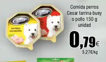 FROIZ Comida perros Cesar tarrina buey o pollo oferta