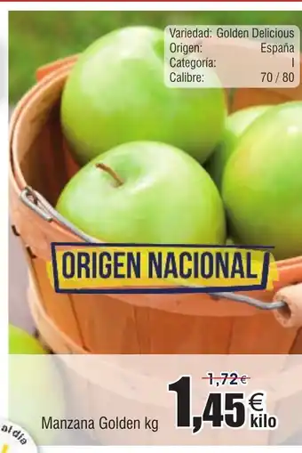 FROIZ Manzana oferta