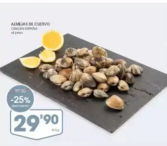 Supermercados Plaza Almejas de cultivo oferta