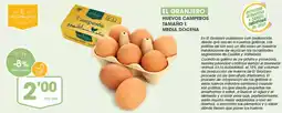 Supermercados Plaza Huevos camperos tamaño media docena oferta