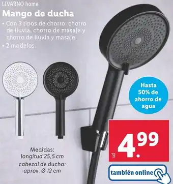 Lidl LIVARNO HOME Mango de ducha oferta